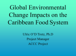 Global change impacts on the Caribbean Food System