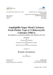 Amphiphilic Sugar Metal Carbenes