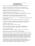 Lab Worksheet 15