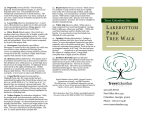Lakebottom Park Tree Walk Brochure