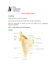 Scapular Fractures