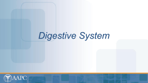Digestive System - Network Learning Institute