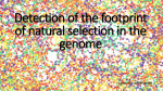 Detection of the footprint of natural selection in the genome