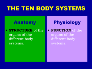 Ten Body Systems