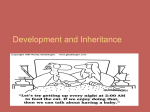Development and Inheritance