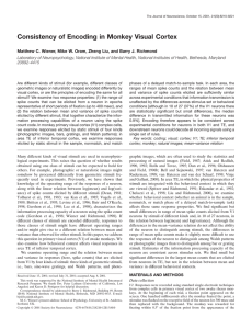 Wiener et al. J Neurosci, 2001 - PDF