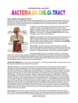 informational handout - Western Connecticut State University