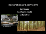 Restoration of Ecosystems