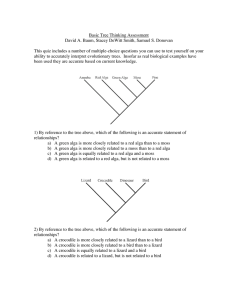 Basic Tree Thinking Assessment David A. Baum, Stacey DeWitt