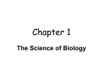 Chapter 1