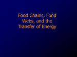 Food Webs and Energy Transfer Notes