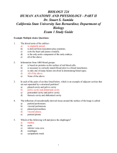 Exam 1 Study Guide - Dr. Stuart Sumida