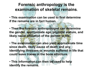 Forensic Anthropology PowerPoint