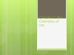 Chapter 2: The Chemistry of Life