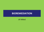 Bioremediation