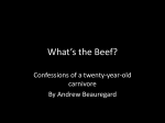 What`s the Beef? - Sustainability at GW