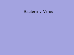 Bacteria v Virus