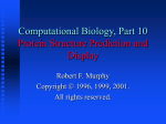 Protein Structure Prediction and Display