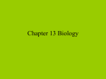 ecosystem - Chipley Biology
