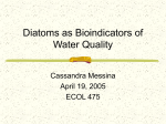 Diatoms as Bioindicators of Water Quality