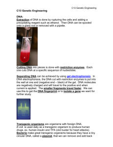 C13 Genetic Engineering