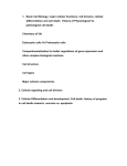 Lecture 2: Cellular signalling and cell division