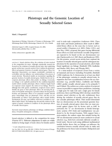 Pleiotropy and the Genomic Location of Sexually Selected Genes