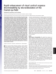 Rapid enhancement of visual cortical response