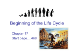 Beginning of the Life Cycle