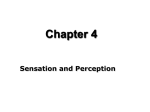 Ch 4 Sensation and Perception