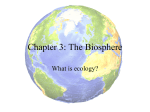 Ecology PP - Teacher Copy