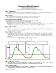 Measuring BP ADAM - Interactive Physiology