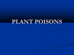 PLANT POISONS