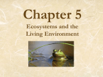 Chapter 5 Lecture 09