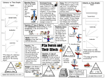 P2a Forces and Their Effects