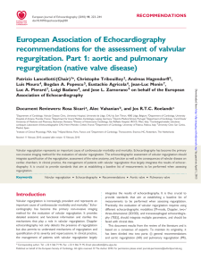 European Association of Echocardiography recommendations for