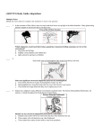 (14OCT15) Study Guide-Adaptations Multiple Choice Identify the