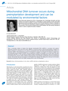 Article Mitochondrial DNA turnover occurs during preimplantation