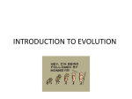 introduction to evolution - Fall River Public Schools