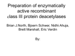 Preparation of enzymatically active recombinant class III