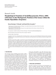 Research Article Morphological Variation of Sordellina punctata