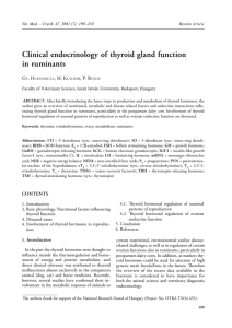 Clinical endocrinology of thyroid gland function in ruminants