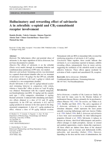 Hallucinatory and rewarding effect of salvinorin A in zebrafish: κ