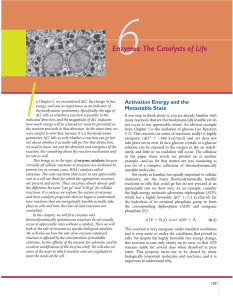 Enzymes:The Catalysts of Life I