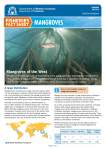 Fisheries Fact Sheet - Mangrove
