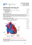 tetralogy of fallot