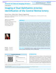 Imaging of Dual Ophthalmic Arteries: Identification of the Central