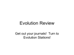 Evolution and Natural Selection Review