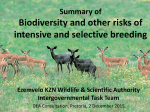 Biodiversity and other risks of intensive and selective breeding