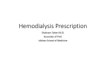 Hemodialysis Prescription